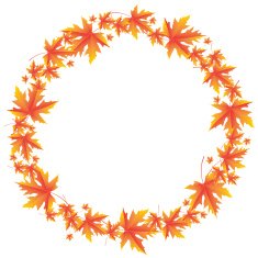 Frame of orange autumn maple leaves
