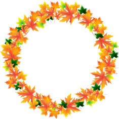Frame of orange autumn maple leaves N2