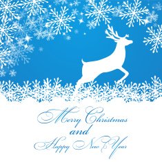 Merry Christmas background with snowflakes N14