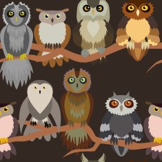 Cute owl seamless pattern N11