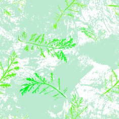 Seamless imprints pattern of the branched herbs N8