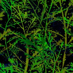 Seamless imprints pattern of the branched herbs N11