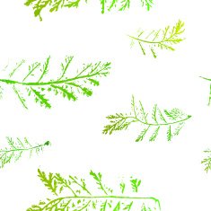 Seamless imprints pattern of the branched herbs N19