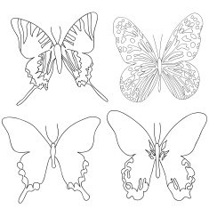 butterfly N57