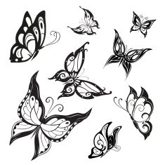 Vector Butterflies N6