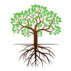 Color Tree and Roots Vector Illustration