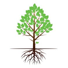 Color Tree and Roots Vector Illustration N2