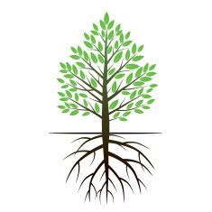 Color Tree and Roots Vector Illustration N3