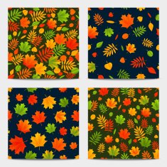 Set of seamless patterns with autumn leaves N2