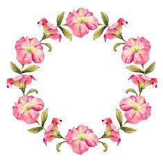 Beautiful pink Petunia flower watercolor wreath