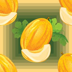 seamless pattern of ripe melon N2