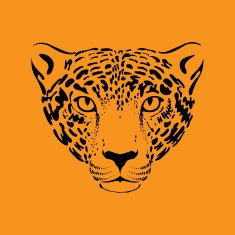 Leopard jaguar N4