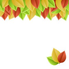 leaves autumn N2