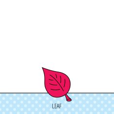 Leaf icon Natural eco sign N4