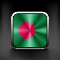 original and simple Bangladesh flag isolated vector in N2