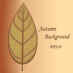 Autumn dry skeleton leaf Abstract vector background Foliage banner