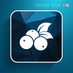 blueberry farm juicy illustration logo symbol vector N3