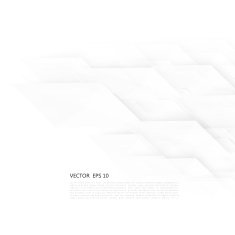 Vector Abstract geometric shape from gray diagonal romb N13
