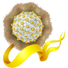 Bouquet of Chamomile
