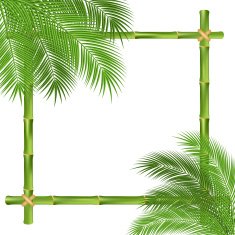 Bamboo Frame N4