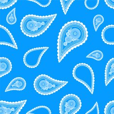 pattern with paisley N10
