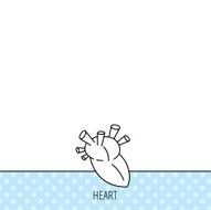 Heart icon Human organ sign Transplantation N5