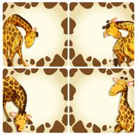 Giraffe N34