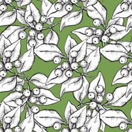 Vector seamless hand draw pattern with ink mistletoe illustation