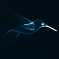 Neon abstract hummingbird