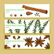 Sketch spices and herbs banners in vintage style