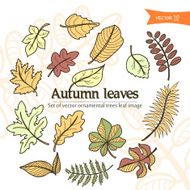autumn3