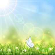 White butterfly and flower