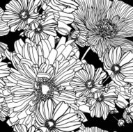 Seamless pattern with flowers chrysanthemums N2