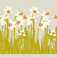 Seamless pattern with narcissus flowers N8