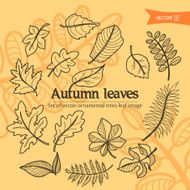 autumn2