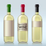 Transparent realistic bottle of wine