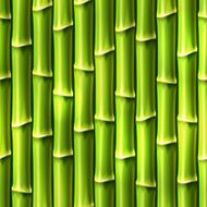 Seamless Bamboo Background Vector illustration eps10