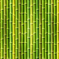 Seamless Bamboo Background Vector illustration eps10 N2