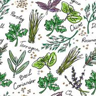 Seamless Pattern Herbs set vector hand drawn illustration