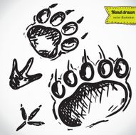 Animal Footprints Silhouettes N2
