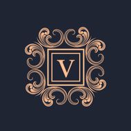 Creative frame with Letter V for monogram N2