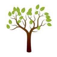 Color Tree and Green Leafs Vector Illustration N2