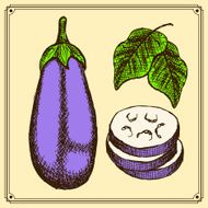 Sketch eggplant set in vintage style