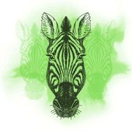 Vector illustration with zebra head