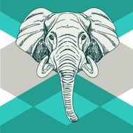 Vector hand drawn illustration with elephant head N3