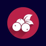 blueberry farm juicy illustration logo symbol vector N5