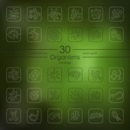Set of organisms icons N5