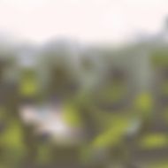 Magic blurred abstract background in different colors