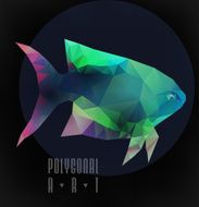Ladybird polygonal N7