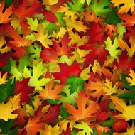 Vector seamless pattern with colorful autumn leaves natural backdrop N2